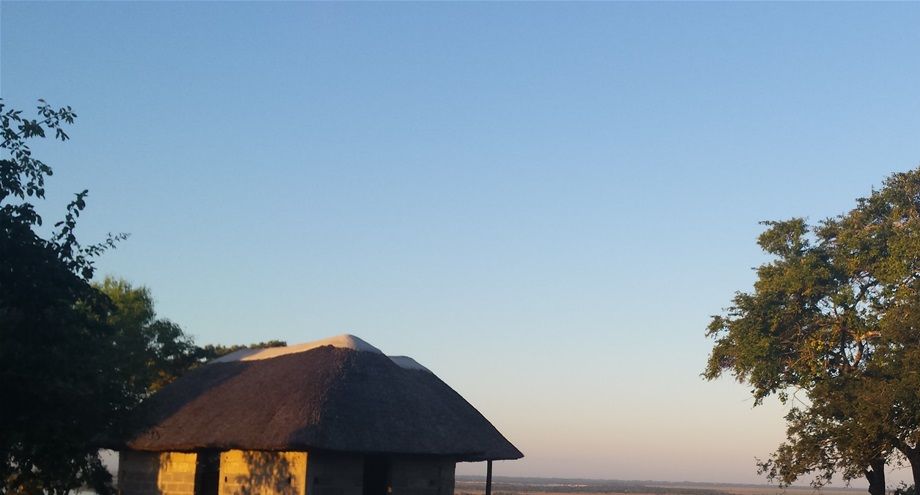 The big tree, Ndzhiva in Tsonga languages, provides shade, food, firewood, and wood for xizambi bow.